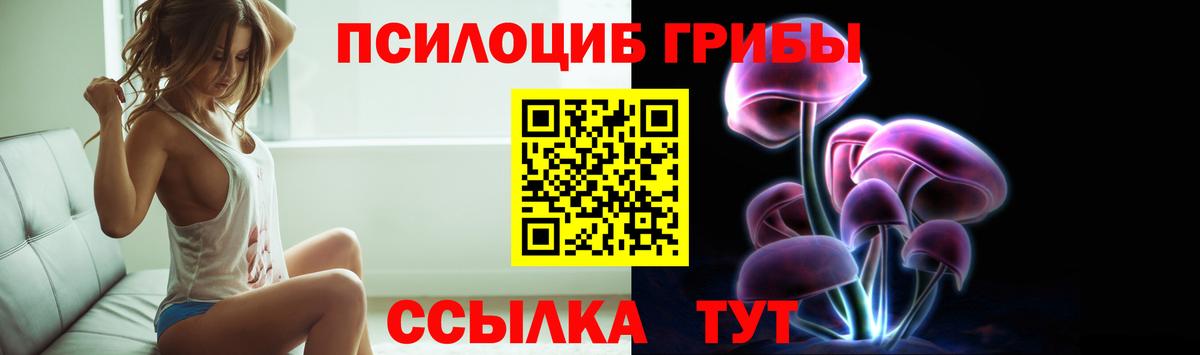 Павлово  Псилоцибиновые грибы Psilocybe  купить наркоту  Вход с VPN 